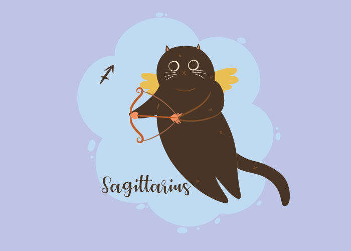 sagittarius black cat