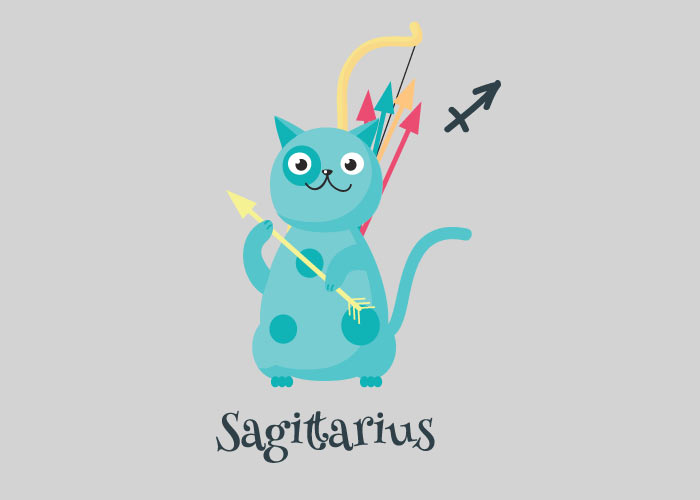 sagittarius kitty