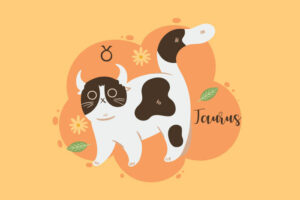 Taurus Cat’s Personality