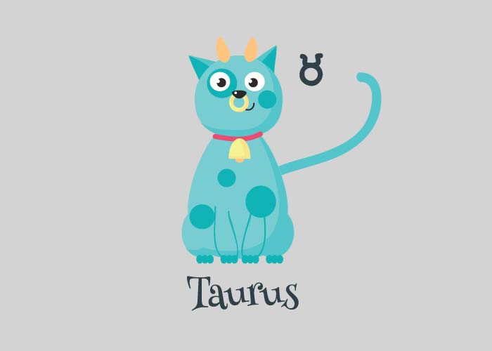 cyan taurus kitty