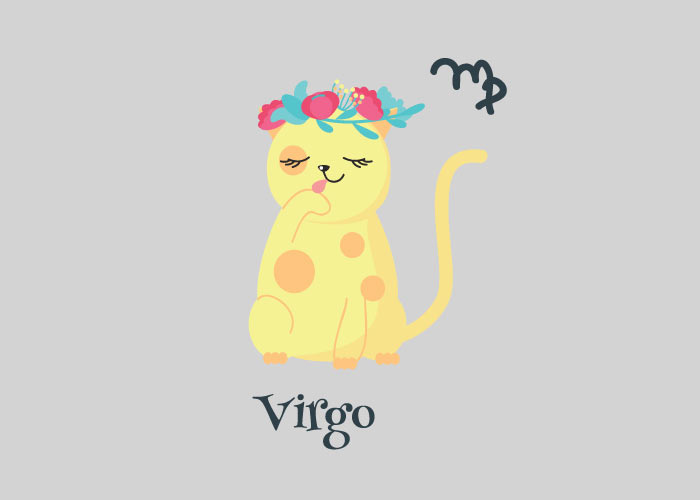 yellow cat wearing flower with virgo symbol