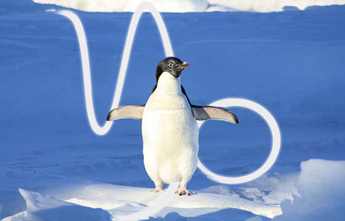penguin and capricorn symbol