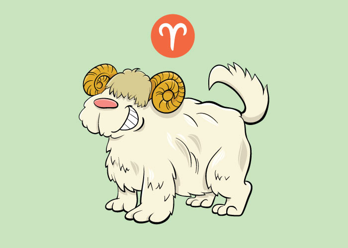 Dog Astrology A Guide to the ARIES Dog’s Personality & Preferences