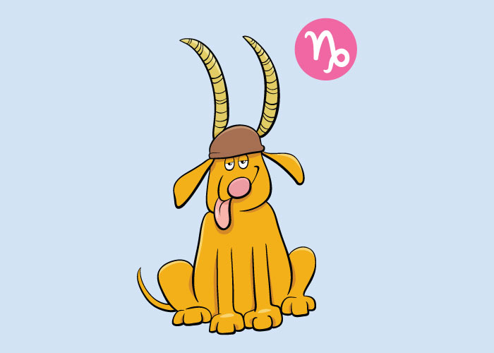cartoon doggie wearing a viking hat