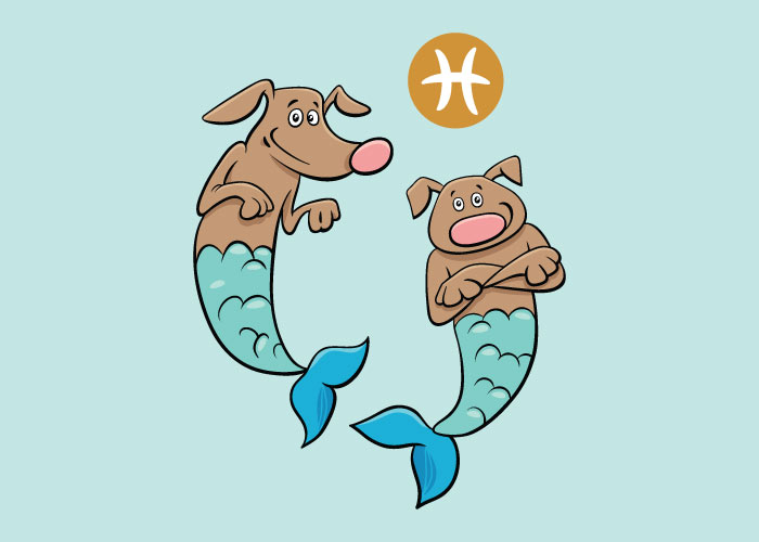 two dogs in mermaid costumes