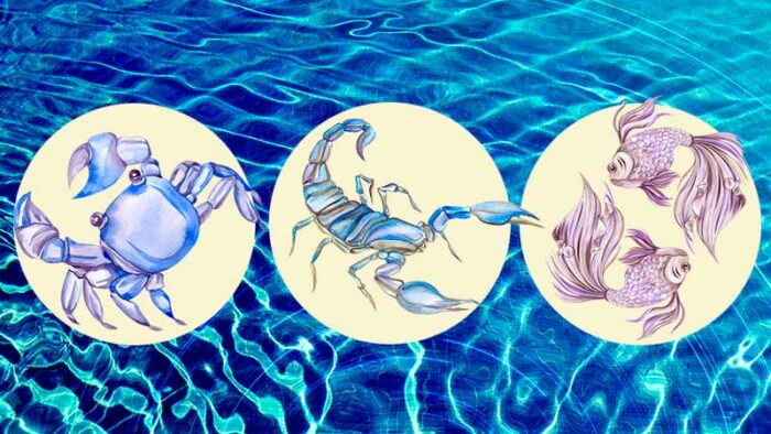 A Guide to WATER Zodiac Sign Facts and Personality You Should Read