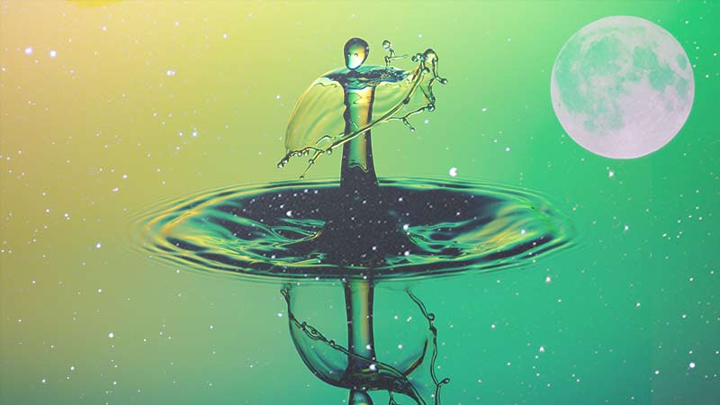 a drop of water in the water bucket of the universe